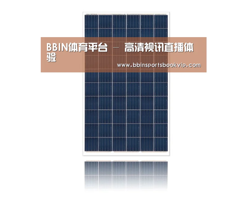 产品名称一